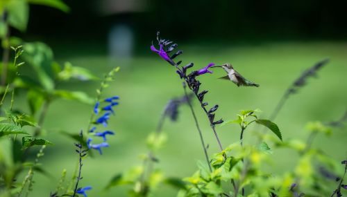 Çevre Dostu Ürünlerde Yeni Dönem: Sürdürülebilirlik ve Dayanıklı Tasarımlar
